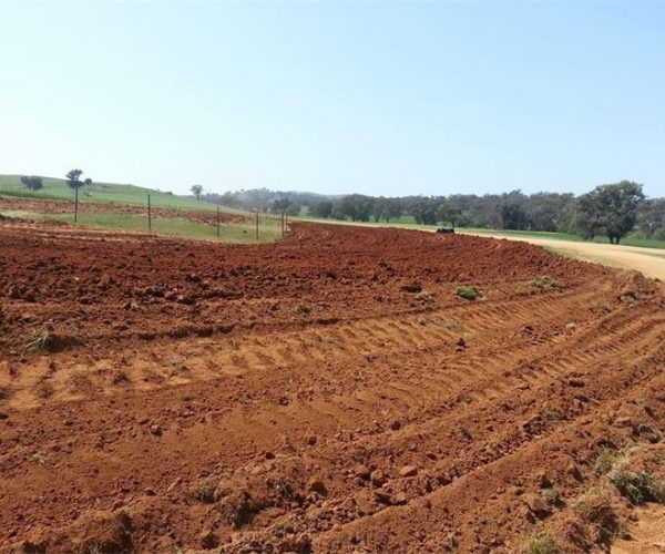 WORK BEGINS ON NEW SPEEDWAY TRACKS AT WOODSTOCK PARK SPEEDWAY